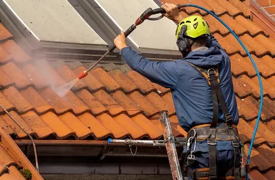 Démoussage et hydrofuge de toiture à Balsièges